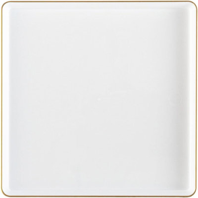 Disposable Dinner Plate