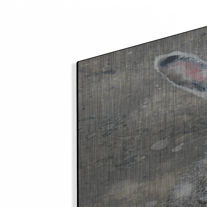 «Silver» par Maggie Vandewalle, H 36 po x l 24 po