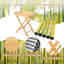 Folding Table