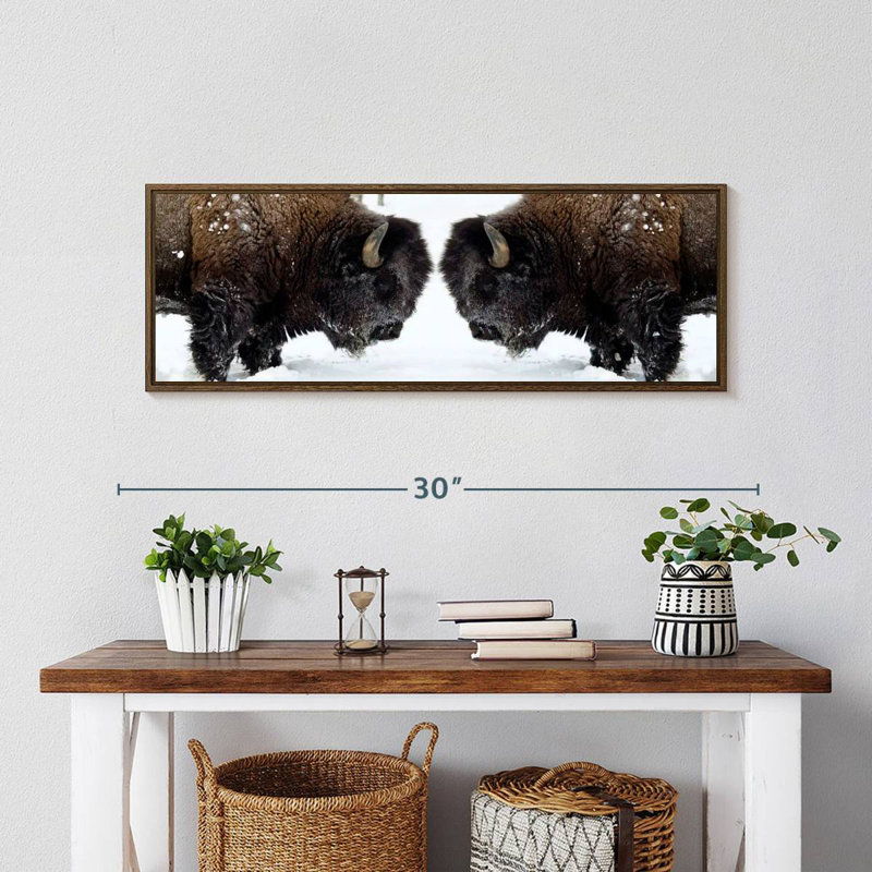 Bison Clash, 28 po x 10 po, Cadre flottant noyer