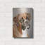 «Boxer» par Janet Pidoux-1553116451