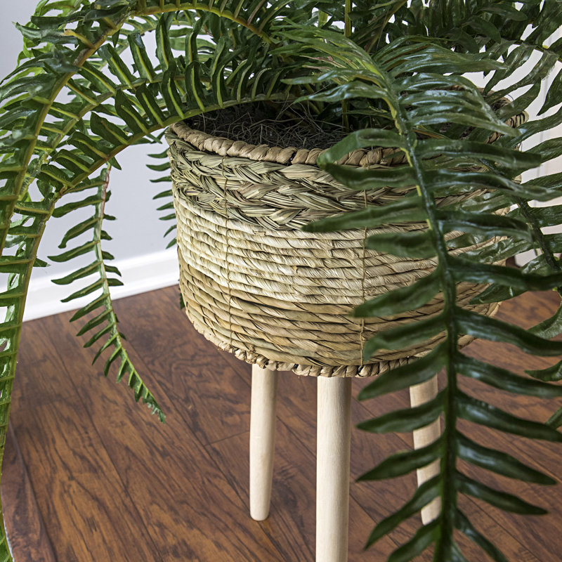 Callihan 38'' Faux Fern Plant in Wicker/Rattan Basket