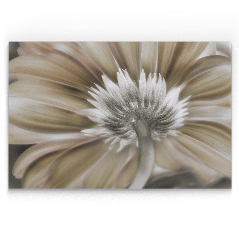 Dreamin - reproduction sur toile, H 18 po x l 27 po x P 1,5 po