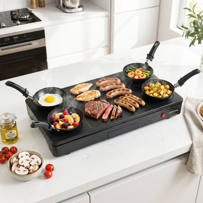 1000W Electric Grill Griddle Raclette Table Grill with 4 Nonstick Woks & Wooden Spatulas