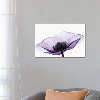 Anemone II - Print on Canvas