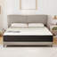 Matelas en mousse à mémoire de forme moyenne Alwyn Home Bondurant, sans sommier, épaisseur de matelas seulement-2058055557