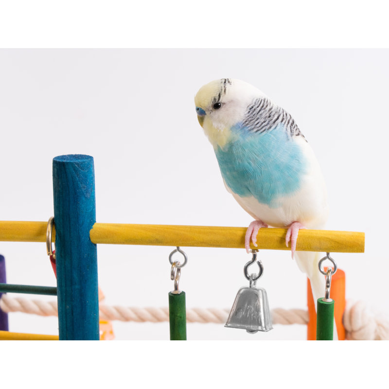 Small Wooden Playground Bird Activity Centre