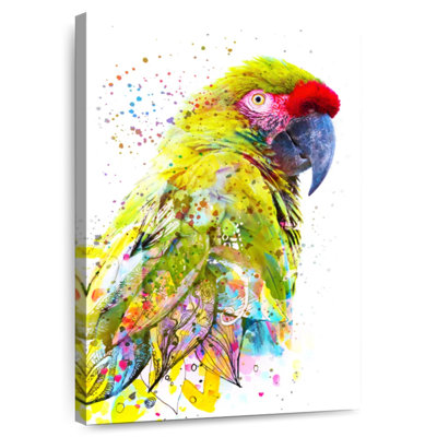 Brampt superbe oiseau de safari