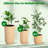 Planters With A Water Level Monitor, Self Watering System And Wheels, Medium Flower Pots For Living Room, Bedroom Office, Patio, Porch, Garden-2034553859-2034553863-2034553857