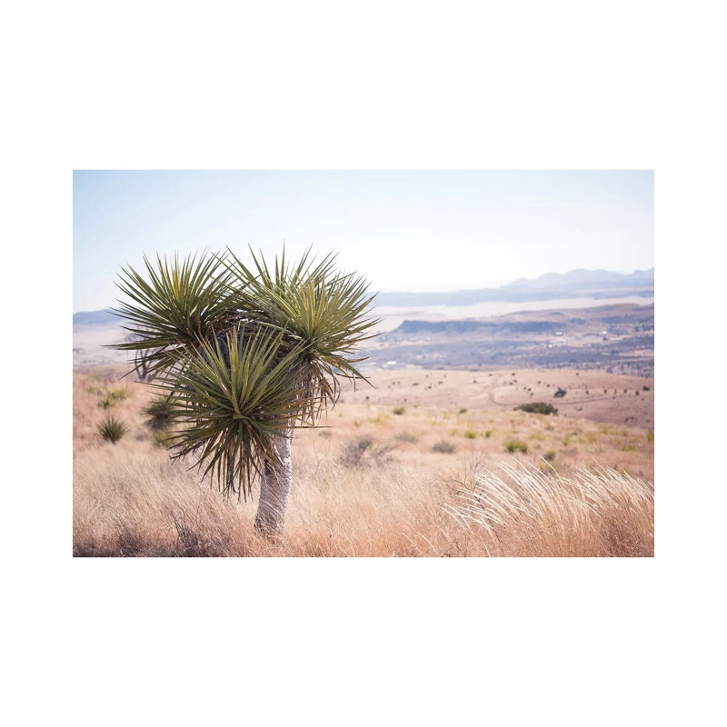 Home On The Range by Ann Hudec - Wrapped Canvas Print, 20.32 cm H x 30.48 cm W