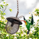 Brentan Metal Hanging Decorative Bird Feeder