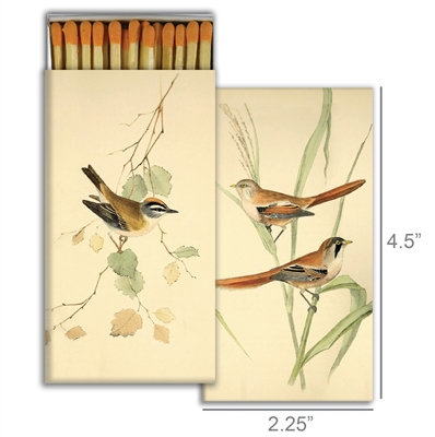 Allumettes - oiseaux anglais