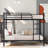 Jimenez Kids Twin Bunk Bed-1940311244