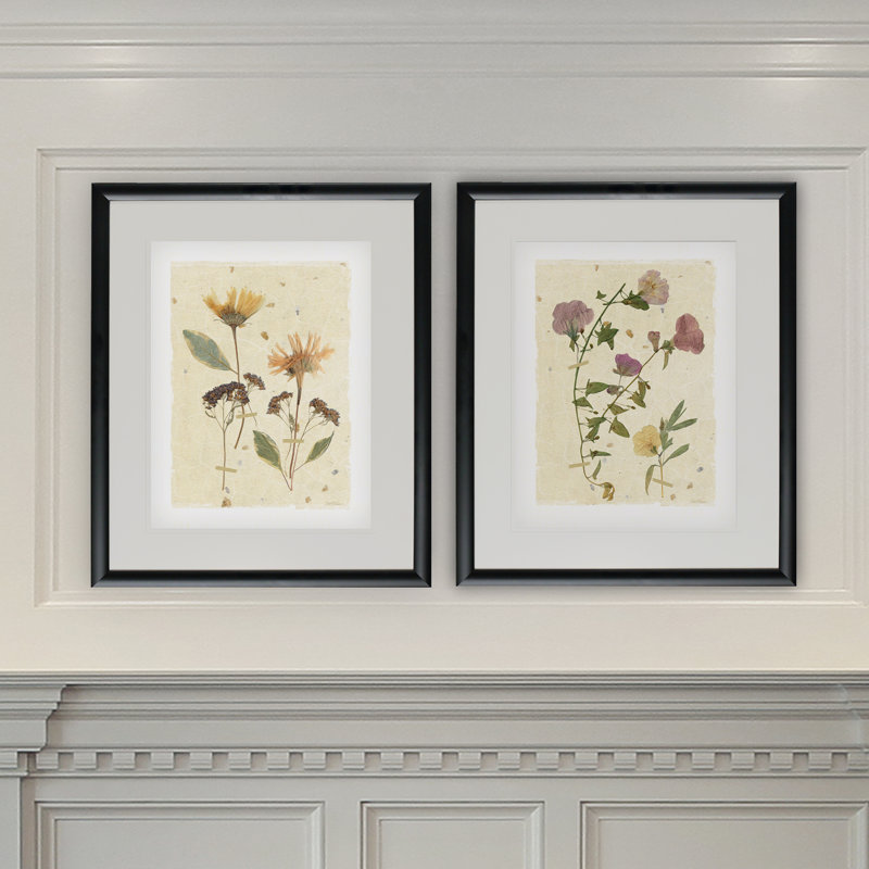 « pressed marguerites »-2 pièces, ensemble de 2 reproductions de photos sur papier, Noir