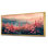 Aquinnah - Lupin, art mural