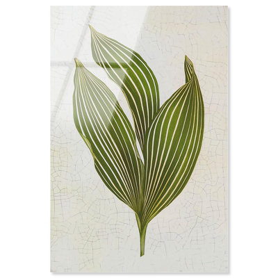 Aged Botanica I Botanical Decor Acrylic Print by Art Remedy