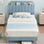 Standard Slat-1686090563