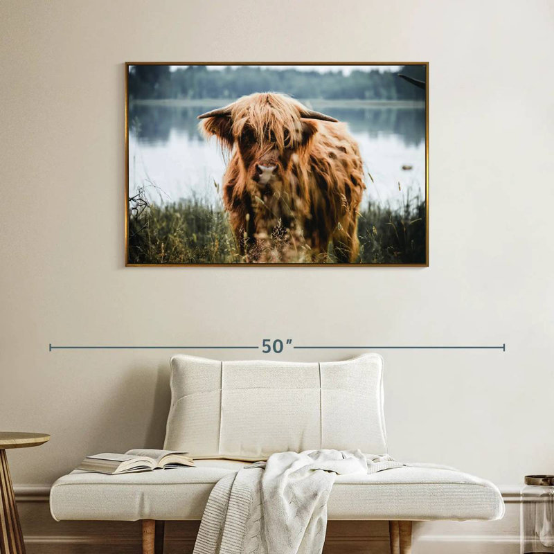 Vache Lakeside Highland, Cadre flottant doré, 40 po x 27 po
