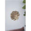 Plaque murale succulente D10x1,4 ", 2 pièces