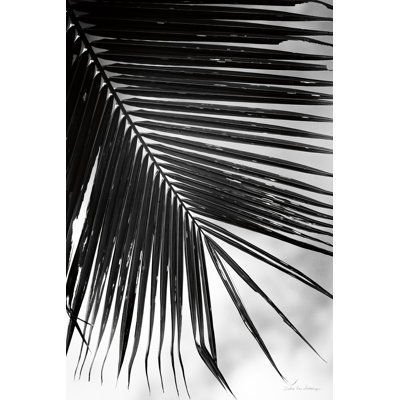 Palm Frond II 1 Piece Wrapped Canvas Wall Art