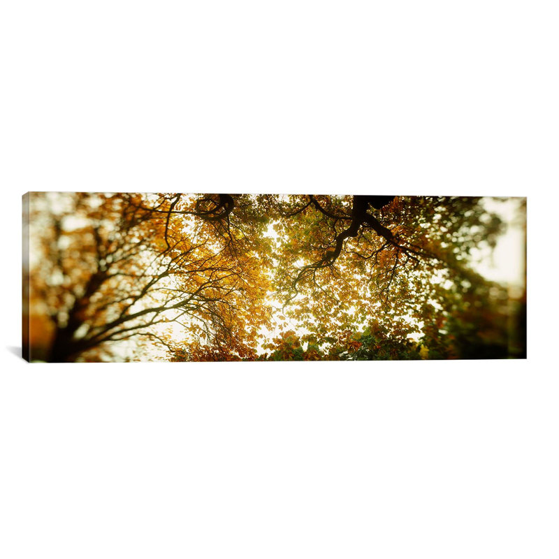«Panoramic Volunteer Park, Seattle, Washington State», reproduction de photo sur toile tendue, H 12 po x l 36 po x P 1,5 po