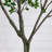 10ft. Minimalist Citrus Artificial Tree