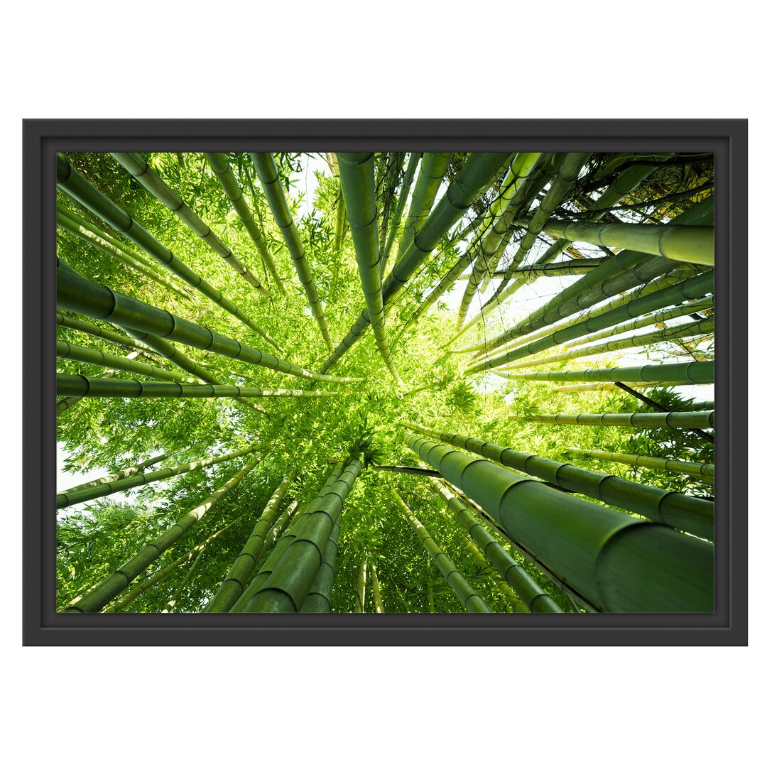 Gerahmter Fotodruck Green Bamboo