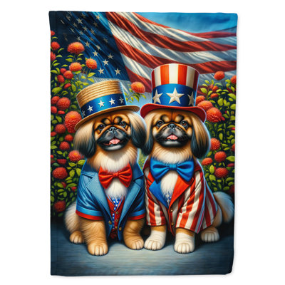 Drapeau «All American House»
