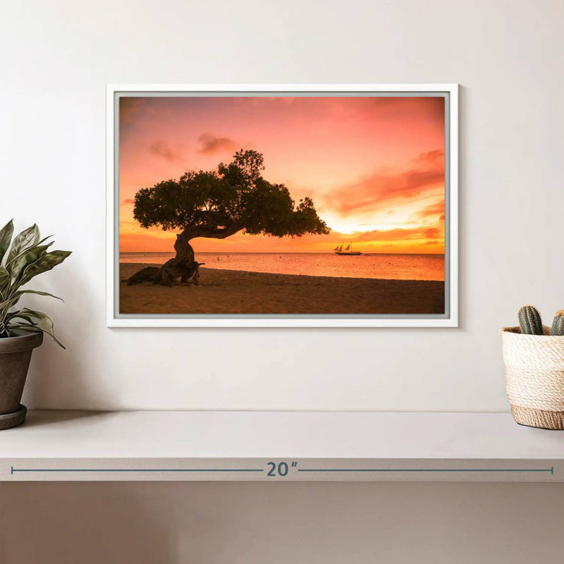 Arbre Divi Divi Aruba, Cadre flottant blanc, 13 po x 9 po