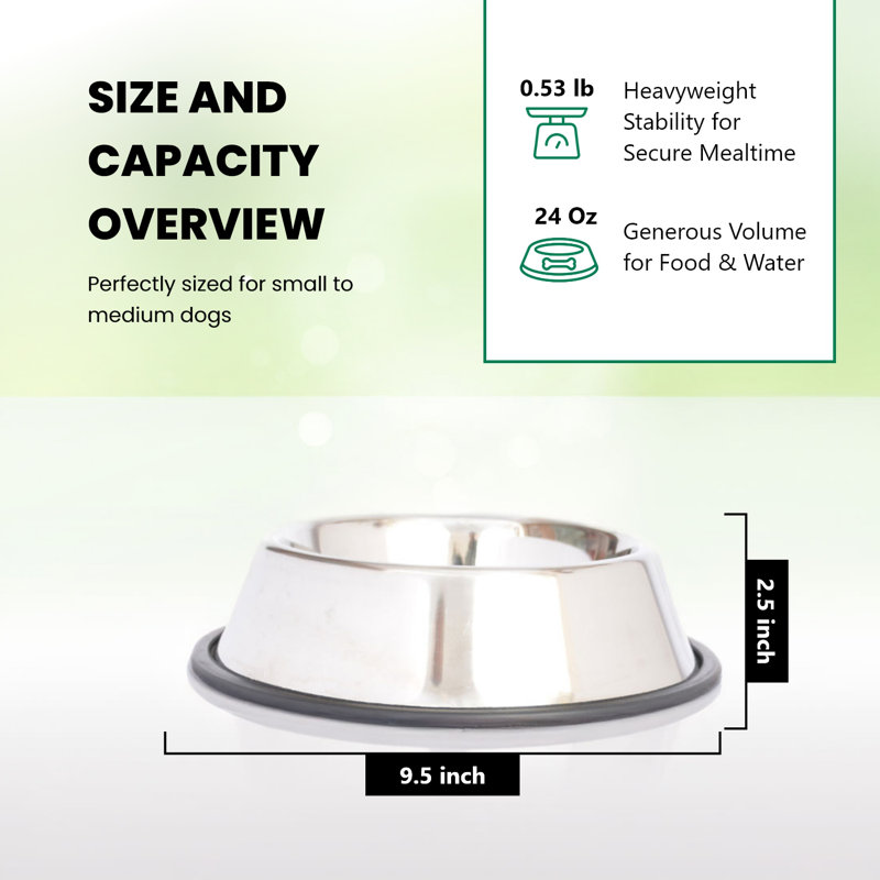 Stainless Steel Non-Skid Pet Bowl Set with Rubber Base