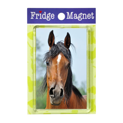 Fridge Magnet