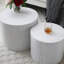 Ensemble de 2 tables basses rondes-1632457971