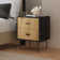 Alexandera 25.2'' H Modern Nightstand with Two Drawers