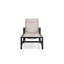 Outdoor Chaise Lounge-869487131