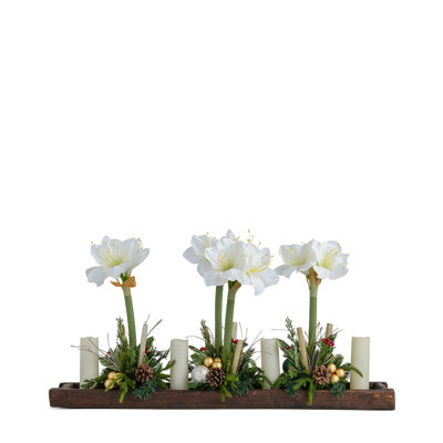 WHITE AMARYLLIS IN WOOD TRAY