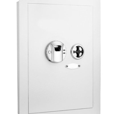 Alloy Steel Biometric Fingerprint Digital Security,  Wall Safe for Home & Office -  DEBLIT, Z075SBRG7Q