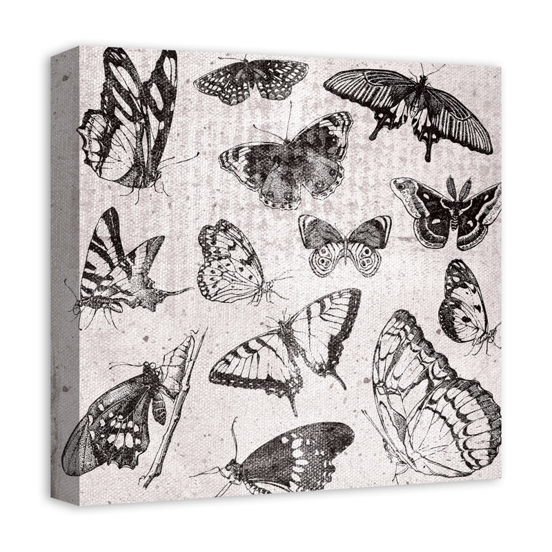 Papillons en niveaux de gris sur toile, H 12 po x l 12 po x P 1,25 po