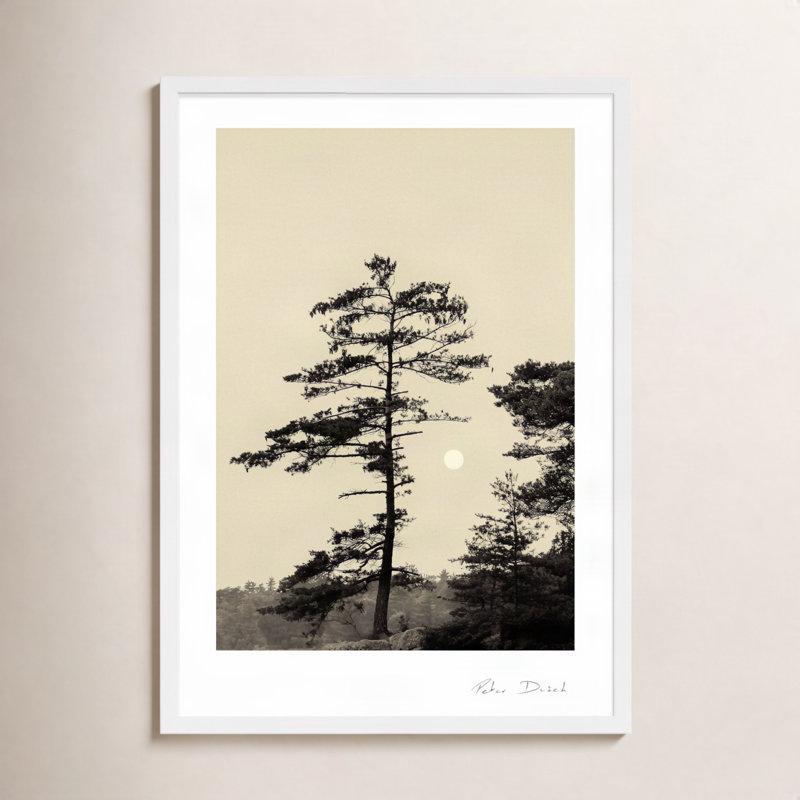Photographie de jardin, H 25 po x l 17,5 po x P 1,25 po, Blanc