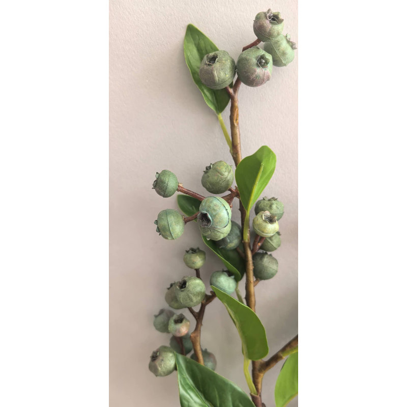 SPRAY MYRTILLE 23 po