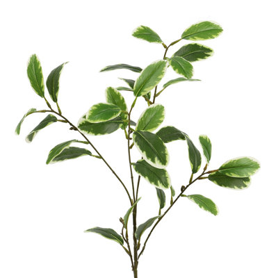 Feuilles de papier, branches, plantes et arbres