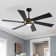 Lucienne 60'' Smart Indoor Ceiling Fan with LED Lights