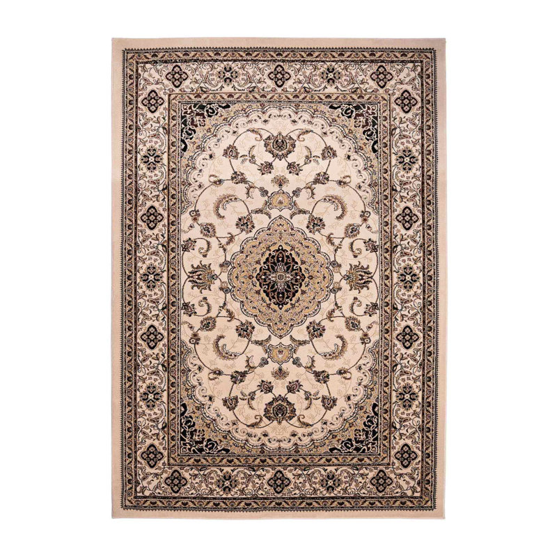 Oriental Area Rug, Rectangle 200 x 290 cm