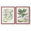 Buchoz Tropicals III - reproduction encadrée de qualité supérieure - prête à être accrochée - aucun clou requis - aucun clou requis-1822360638-1822360639