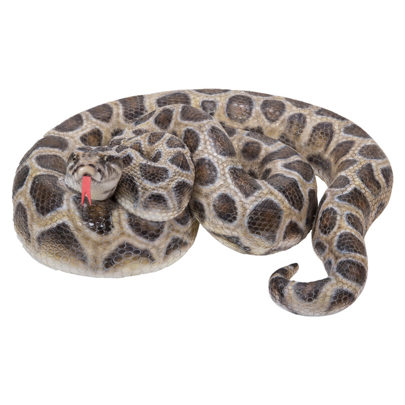 CURLED UP PYTHON STATUE