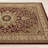 Anoush Oriental Indoor Rug-1559394679