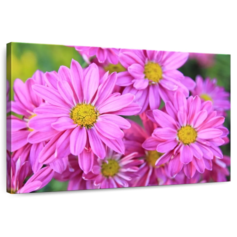 Harnek Pink Flower Garden, 26" H x 39" W