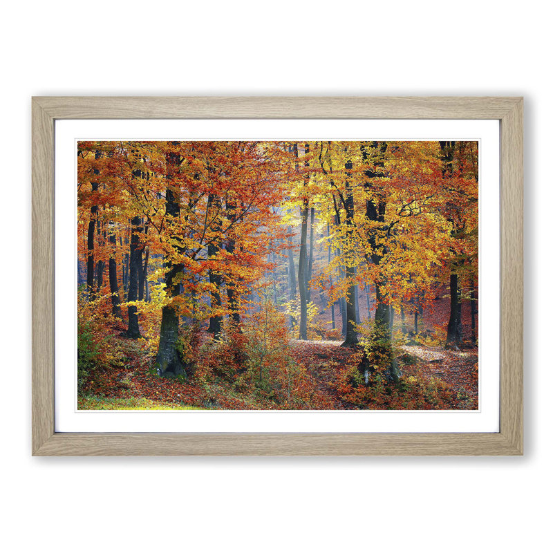 Landscape Forest in the Autumn - Framed Print, Oak