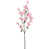 Rose est en rupture de stock