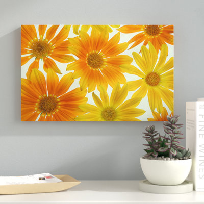 « orange marguerites », reproduction de photo sur toile tendue