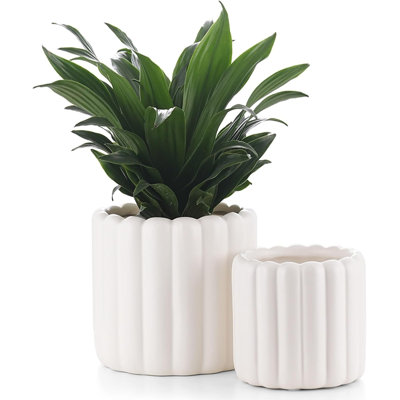 Ceramic Plant Pots Cream White 6"+4.7" Set